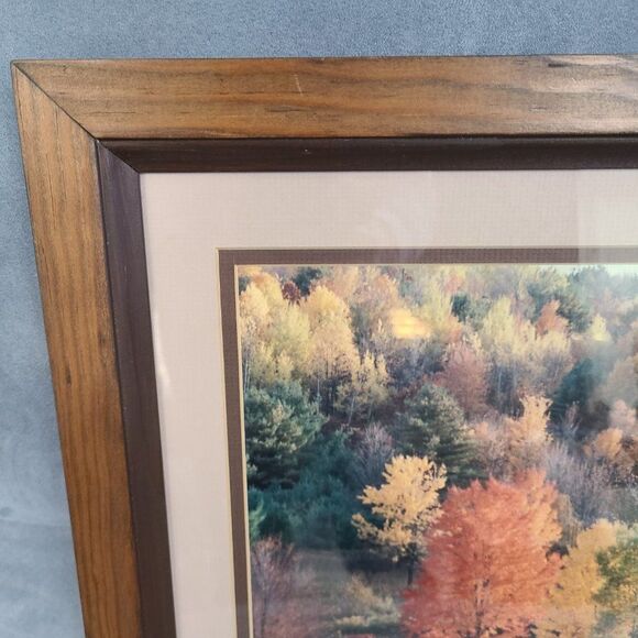 Vintage Autumn Fall Photography Wall Hanging Framed and Matted J Palmer 1988 - Picture 2 of 16